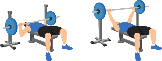 Bench Press demonstration