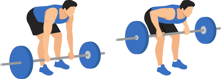 Bent Over Row demonstration