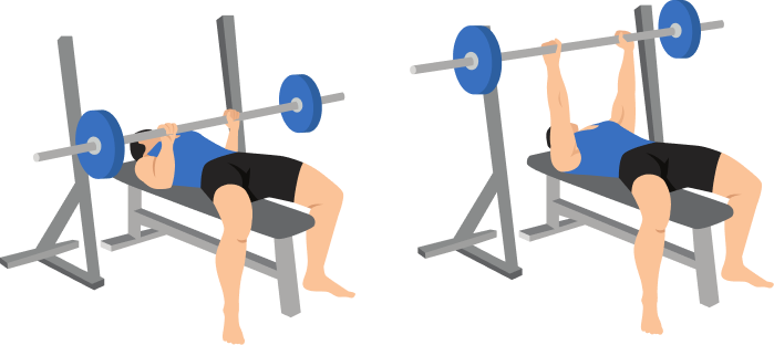 Close Grip Bench Press demonstration