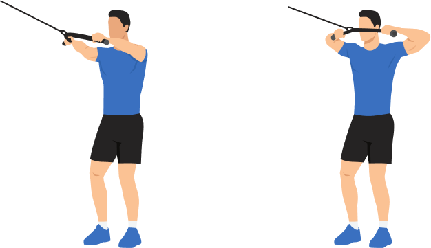 Face Pull demonstration