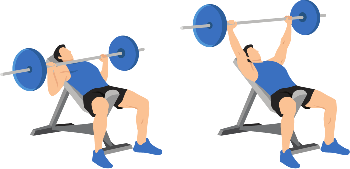 Incline Bench Press demonstration