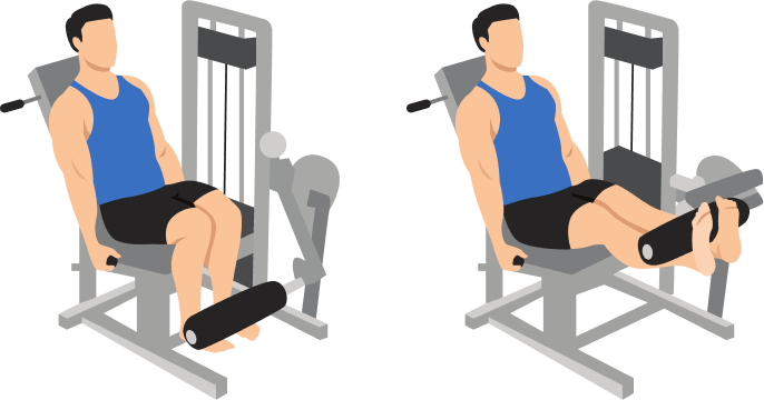 Leg Extension demonstration