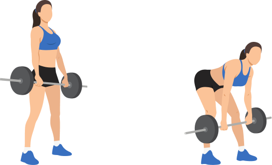 Romanian Deadlift demonstration