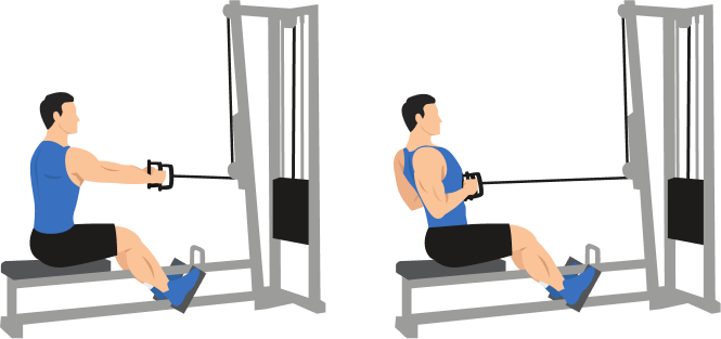 Seated Cable Row demonstration