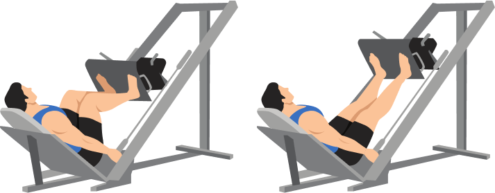 Sled Leg Press demonstration