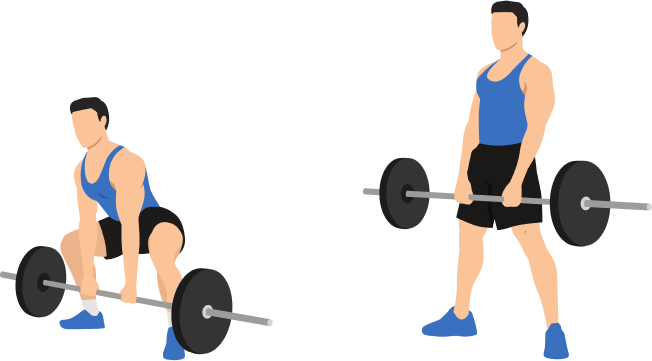 Sumo Deadlift demonstration